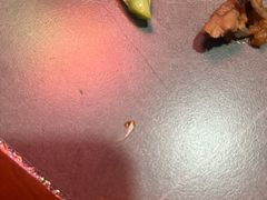 -老诚一锅(万年花城店)