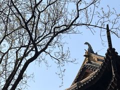 -西园戒幢律寺