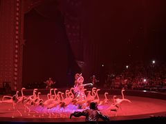 -珠海横琴长隆《卡卡虎奇遇记》