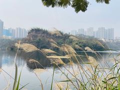 -重庆彩云湖湿地公园