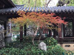 -郑和公园