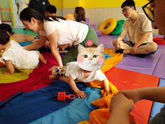 -金宝贝早教中心(北洋校区)