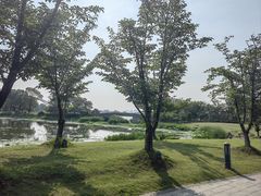 -澹台湖公园