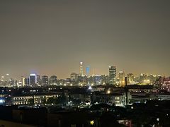 -上海中医药大学附属曙光医院(东部)