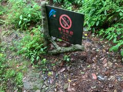 -黄山翡翠谷景区