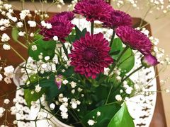 -奥美花店(天津市住房公积金管理中心河东管理部店)