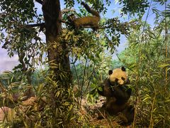 -陕西自然博物馆