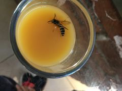 -姥家大锅台水库渔家