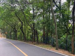 -高榜山景区