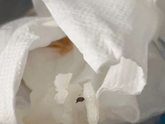 -大地豆花庄(玲珑花园店)