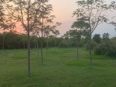 -天津东丽湖风景区