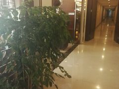 -锦江都城闵行饭店