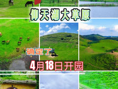 -仰天湖大草原