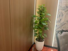 -一品粤珍轩(吴中路店)