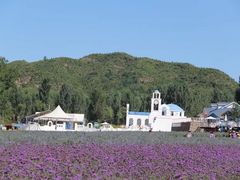 -紫海香堤香草艺术庄园