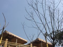 -玫瑰庄园·自助烧烤·烤全羊·团建拓展(龙泉山店)