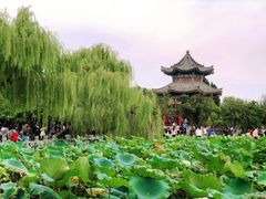 -济南大明湖景区