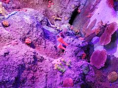 -沈阳海洋探索中心