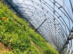 -祥源·阜阳生态乐园