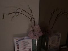 -浅深(世茂滨江精品店)