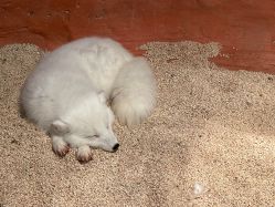 -Zoolung Zoolung动物主题公园(海信广场店)