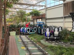 -南宫五洲植物乐园