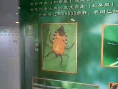 -上海昆虫博物馆