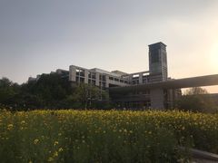 -星巴克(浙大紫金港校区店)