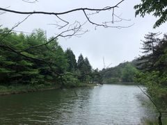 -四明山国家森林公园