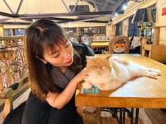 -more than meow吴止猫主题餐厅(承德 中船汇店)