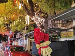 -溪岸路花鸟市场