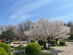 -北京世界公园