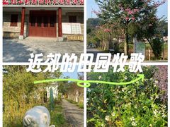-红山村