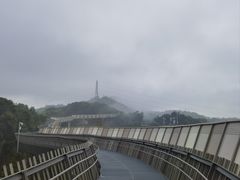 -福道