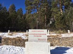 -北极村旅游风景区