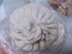 大肉包-白玉兰食品(甜云店)
