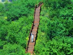 -大岭沟猕猴桃谷风景区