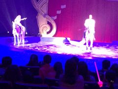 -珠海横琴长隆《卡卡虎奇遇记》