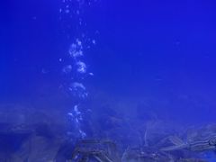 -蟹状元大闸蟹·年货·粽子(成都成华店)