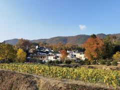 -塔川景区