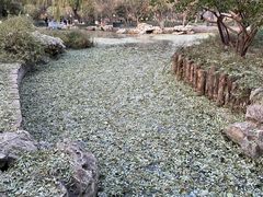 -宣武艺园