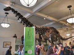 -美国自然历史博物馆