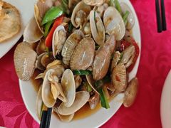 -蛇口康乐快餐鱼仔档(翠苑小区店)