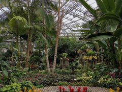 -北京植物园-展览温室