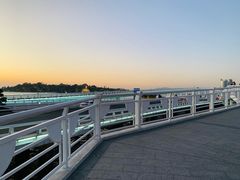 -演武大桥观景平台