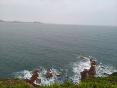 -杨梅坑