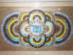 -上海昆虫博物馆