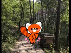 -帽儿山风景区