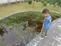 -广州神农草堂中医药博物馆