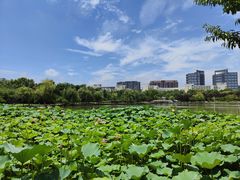 -南京航空航天大学(将军路校区)